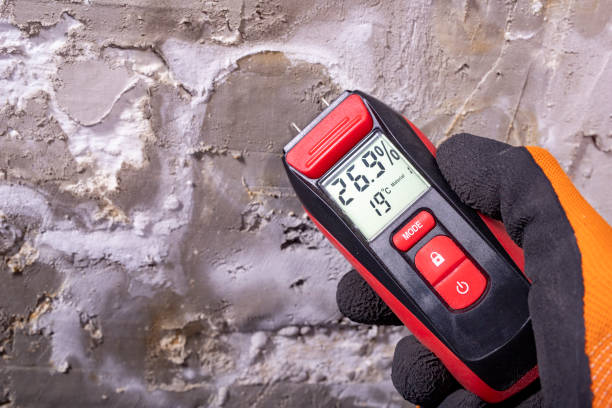 Best Certified Mold Removal  in Cleburne, TX