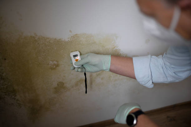 Best Crawl Space Mold Removal  in Cleburne, TX