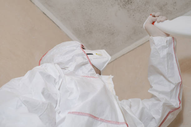 Best Emergency Mold Removal  in Cleburne, TX