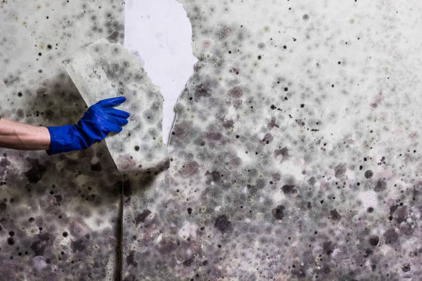 Water Damage Restoration in Cleburne, TX